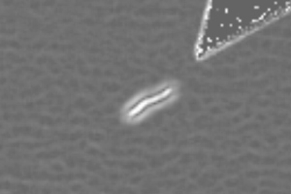 AI-based classification